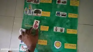 science project for school // Easy science model for school // living things and non living things