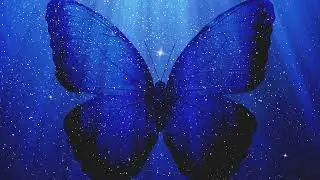 Courageously Opening up to Emotional Expression - Light Language Transmission