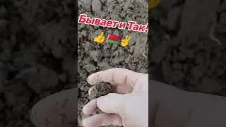 Немножко прихватило... #копвпосадке #xpdeus2 #digger #врек #прикол #находка #клад #камрад #отдых#коп