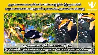 Hornbill Conservation Centre to be Established in Anamalai Tiger Reserve