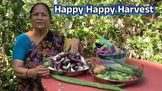 Happy Happy Harvest