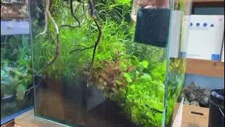 Weekend Aquascape Maintenance At Pet Zone Tropical Fish - San Diego