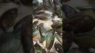mussels #shorts #yt #ytshorts #mussels #seafood ##youtubefeed #cooking