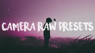 INSTALL PRESETS IN CAMERA RAW