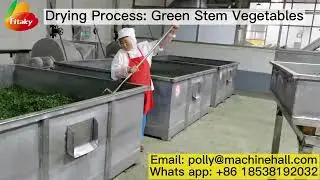 Drying Process: Green Stem Vegetables #dehydratedvegetables