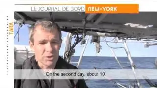 TARA OCEANS: Lobook 5 - Long station in the Atlantic