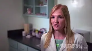 Preparing for a veterinary career