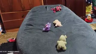 BW - The BeamBag Fight!