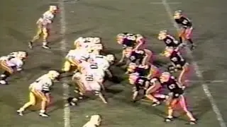 Crystal Lake Central Tigers vs. Jacobs Golden Eagles - 9/15/1995 - Varsity Football