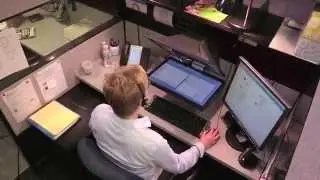 Launch your career as a Video Teller with North Shore Bank