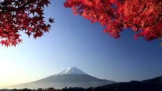 Beautiful Japanese Music | Traditional Japanese Music | Relax, Sleep, Study, Meditation