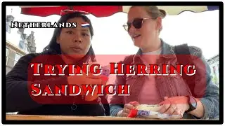 Trying Herring Sandwich the Dutch Way for the First Time