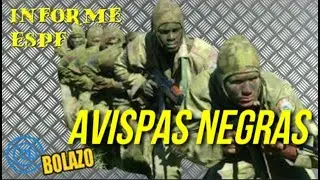 ☢️Las avispas negras de Cuba - The black wasps of Cuba☢️