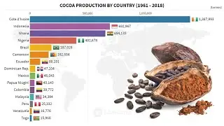 Top 15 Countries by Cocoa Bean Production (1961 &ndash; 2018)