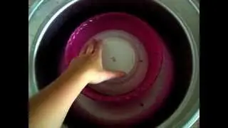 How to salt fish part 3