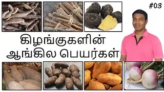 கிழங்குகளின் ஆங்கிலபெயர்கள் | வேர் காய்கறிகளின் ஆங்கிலபெயர்கள் | Tubers & Root Vegetables in English