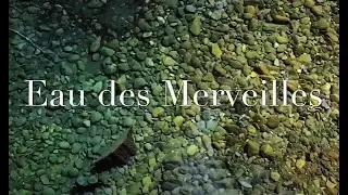 Eau des Merveilles EDT Fragrance Review
