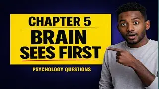 Chapter 5 Psychology | Exam Questions with Answers