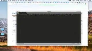 JSON Viewer