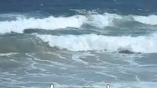 Daniel Surfing 4-11-10
