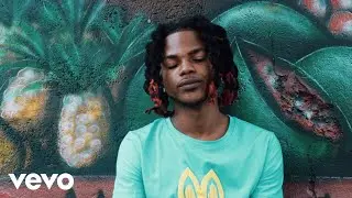 John D The Villin - Funds (Official Visualizer)
