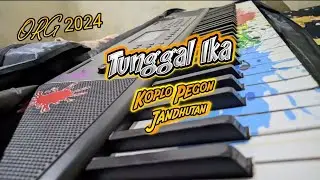Tunggal Ika ( Denny Caknan ) _-_ Koplo _ Pegon _ Jandhutan | ORG 2024 &bull;