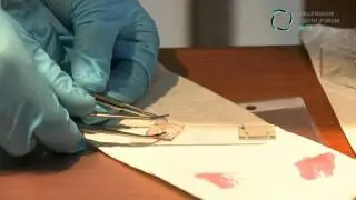 Millennium Youth Forum 2010: Fabricate your own Gr&auml;tzel cell