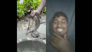 #mudwaterfishing #shorysvideo