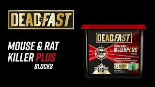 Deadfast Rat Killer Plus | How to use Rat Killer Bait Station