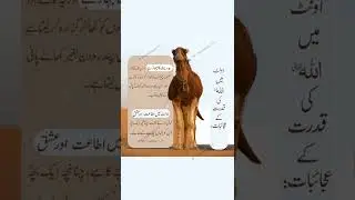 Allah ki qudrat ke ajaibat || B's Informative TV #shorts #short