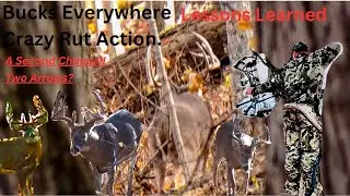 Giant PA Buck, Crazy Rut Action, Lip Curls, Grunting, Sparring and Chasing #bowhunting