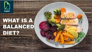 What is a Balanced Diet? | BALANCED DIET EXPLAINED | ProgQuick