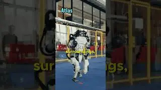 Fun facts Atlas the robot #atlas #ai #robot #short #video #viral #foryou #usa #fyp #trending #funny