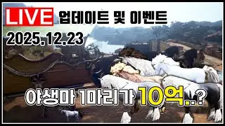업데이트 및 이벤트 리뷰:신규 야생마 등장..?#검은사막 _2025.12.23