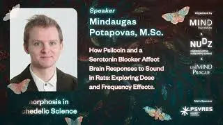 How Psilocin and a Serotonin Blocker Affect Brain Responses to Sound in Rats