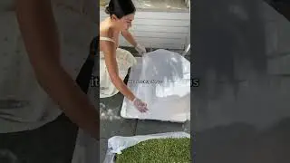 Dog Peeing in the House? Try This Easy Potty Training Solution!