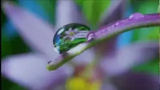 Louis Armstrong - What a Wonderful World!