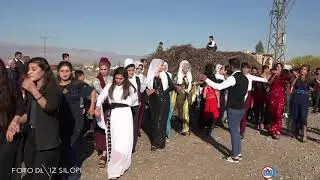 Silopi Düğünleri Bedru Köyü Düğünleri Ahmet Düğünü Part 1Foto Deniz Silopi