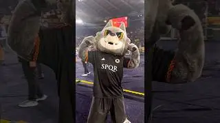 Romolo la mascotte della Roma 💛🧡