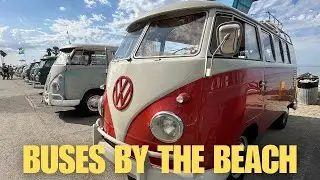 Buses By The Beach - Classic VWs in Dana Point, California