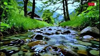 Sleep Fast Calm &mdash; Sunny River Flow with Gentle Piano Music | 10 Hours