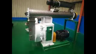 Horizontal Ring Die and Vertical Ring Die Pellet machine, what's the  difference