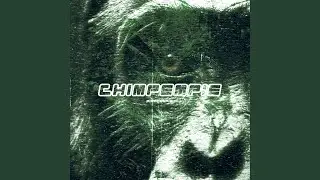 Chimp Empire