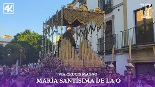 ⁴ᴷ María Stma. De la O por calle Alfonso XII & BM Lora del Río | Córdoba 2025