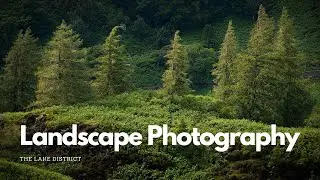 Holme Fell, one of the most beautiful places to photograph in the Lake District.