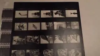 What is a Contact Sheet?