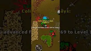 Legendarne questy na rooku? #tibia #rookgaard #gaming #gorgogaming #gorgo #gry #tibijskahistoria