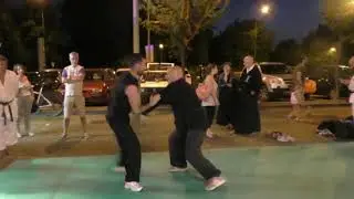 GREAT FRAME JINGANG BAGUA QUAN and application