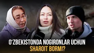 O‘zbekistonda nogironlar uchun sharoit bormi? — “Daryo”da kichik so‘rovnoma