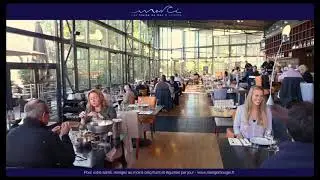 Restaurant Merci Poissons et Fruits de Mer en bord de Garonne